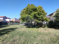 IMG20250805094337.jpg