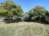 IMG20250805094338.jpg