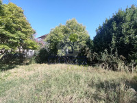 IMG20250805094339.jpg
