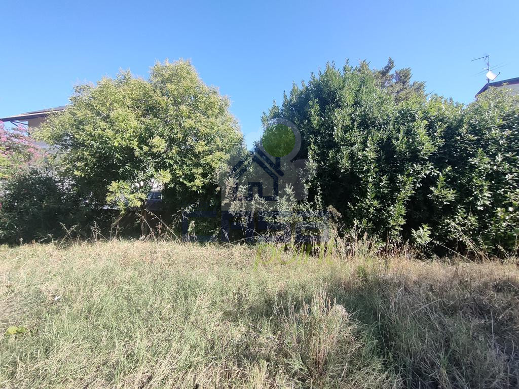 IMG20250805094340.jpg