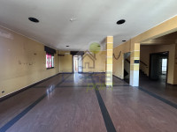 IMG_2679.jpeg