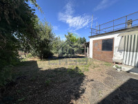 IMG_3498.jpeg