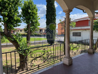IMG_6722.jpg
