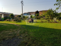 WhatsApp Image 2026-02-12 at 09.14.56 (10).jpeg