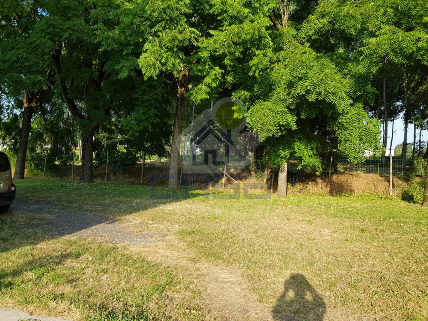 WhatsApp Image 2026-02-12 at 09.14.56 (11).jpeg