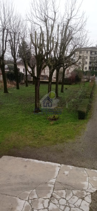 WhatsApp Image 2026-02-12 at 09.14.56 (14).jpeg