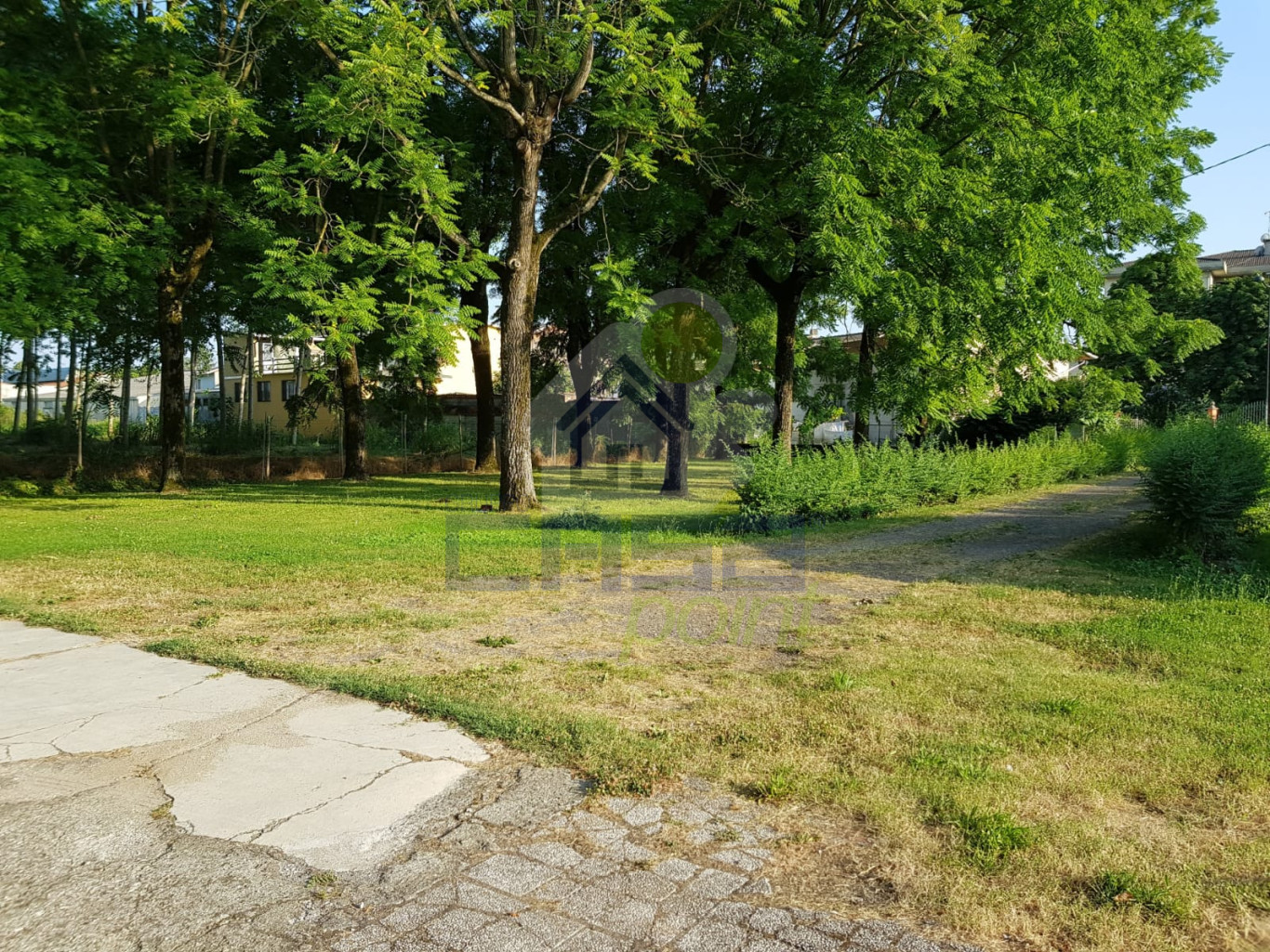 WhatsApp Image 2026-02-12 at 09.14.56 (7).jpeg