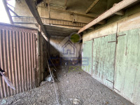 IMG_8212.jpg