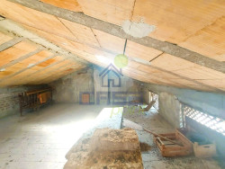 Immagine WhatsApp 2025-07-17 ore 14.40.25_7bed4b5d.jpg