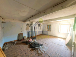 Immagine WhatsApp 2025-07-17 ore 14.40.26_67789039.jpg