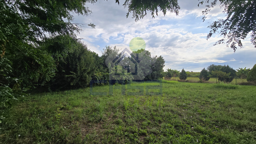 giardino-(2).jpeg