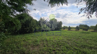 giardino-(2).jpeg