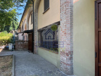 IMG_9688.jpg
