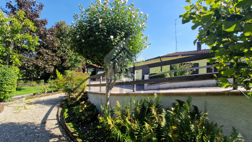 ESTERNA 4