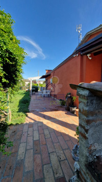 ESTERNA 6