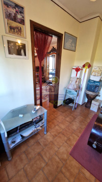 STUDIO P.1°