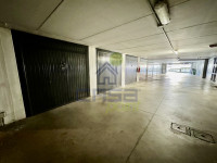 IMG_1860.jpeg