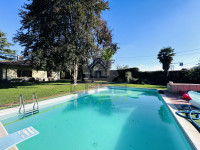 IMG_4226.jpeg
