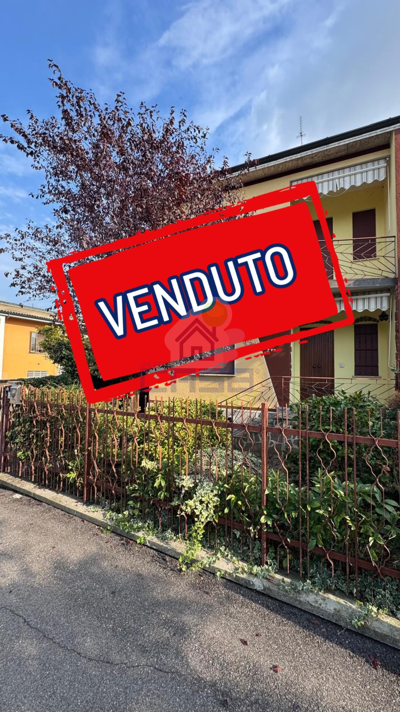 Progetto senza titolo (5).jpg