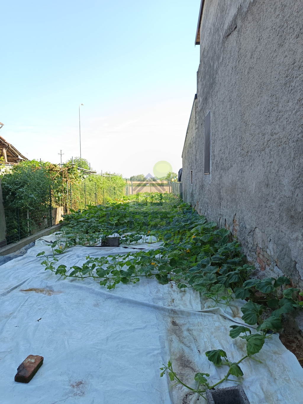 orto o giardino.jpg