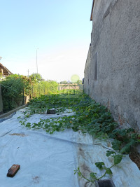 orto o giardino.jpg