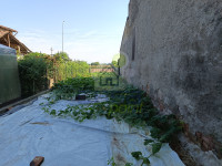 orto o giardino 1.jpg