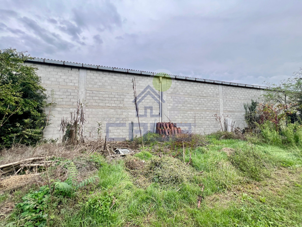 Immagine WhatsApp 2025-09-25 ore 16.03.23_141bcab3.jpg