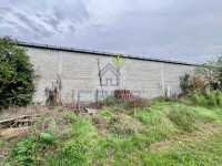 Immagine WhatsApp 2025-09-25 ore 16.03.23_141bcab3.jpg