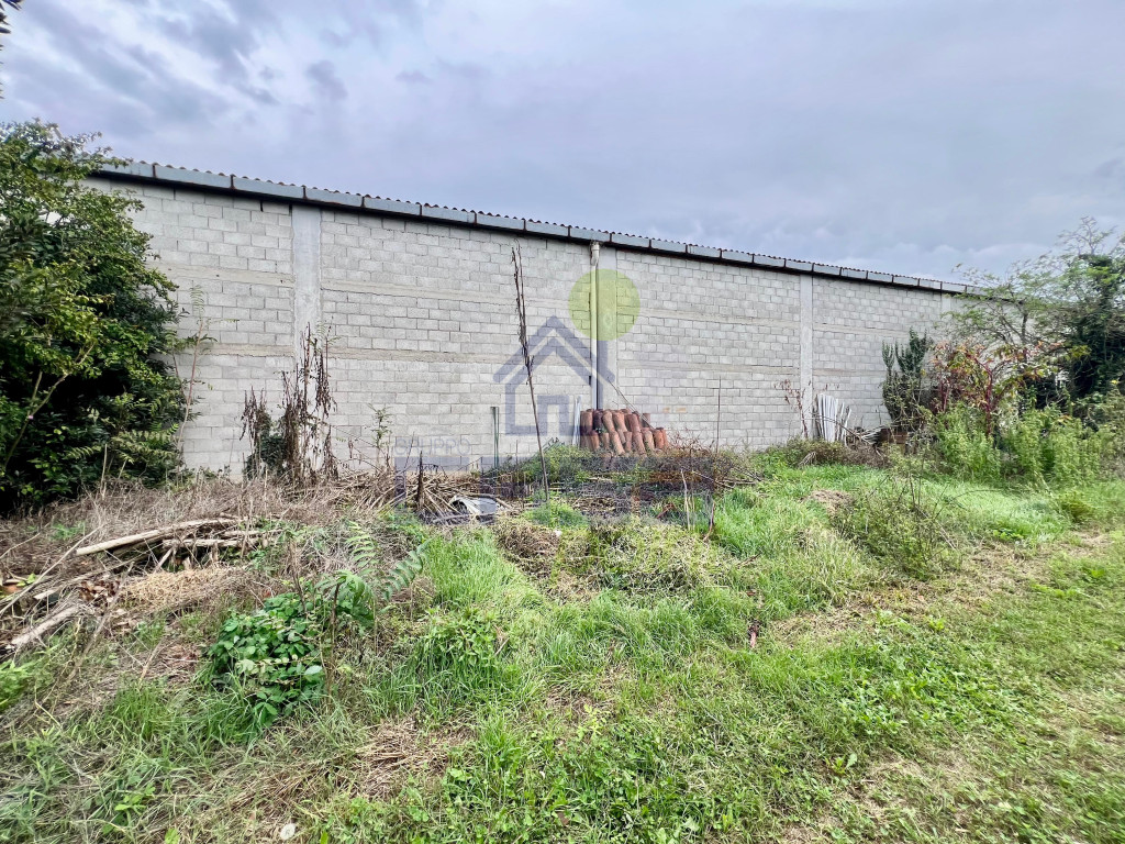 Immagine WhatsApp 2025-09-25 ore 16.03.23_e0005546.jpg