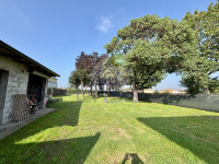 IMG_3582.jpeg