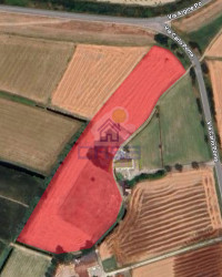 TERRENO AGRICOLO CON ABITAZIONE