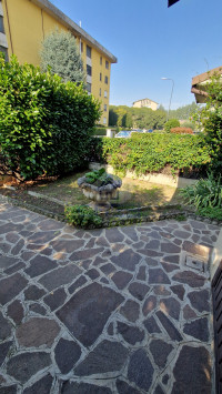 ESTERNA 3
