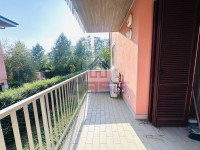 IMG_4638.jpeg