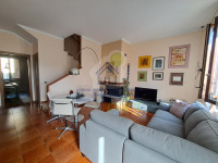 SALA1.jpg