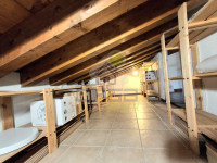8177a025-cdd9-48a0-8664-ac6cb67ce668.jpg