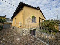 IMG_2535.jpeg