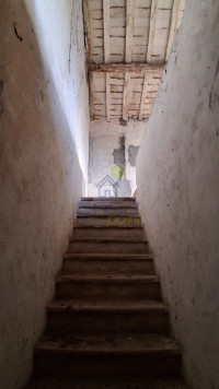 COLLEGAMENTO INTERNO RUSTICO.jpg