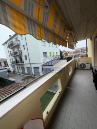 WhatsApp Image 2026-01-15 at 11.37.09.jpeg