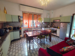 WhatsApp Image 2026-03-18 at 15.50.23.jpeg