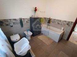 WhatsApp Image 2026-03-18 at 15.50.26 (4).jpeg