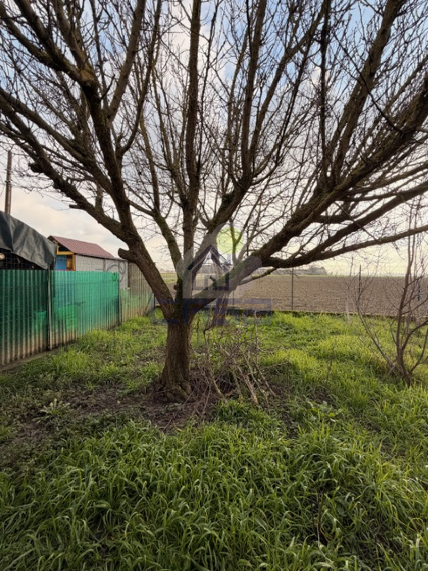 PICCOLA AREA VERDE DI PERTINENZA DIETRO ALLA CANTINA