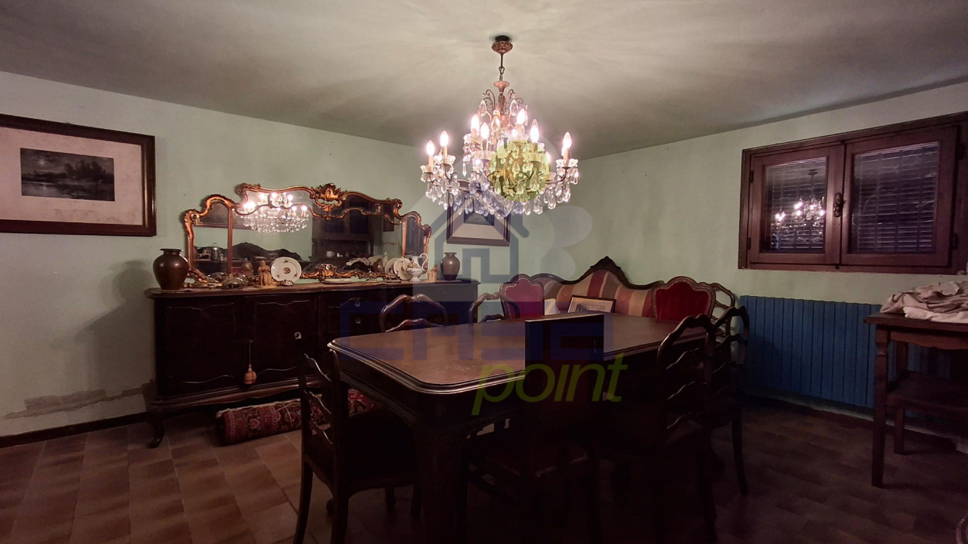 WhatsApp Image 2026-02-05 at 11.05.19.jpeg