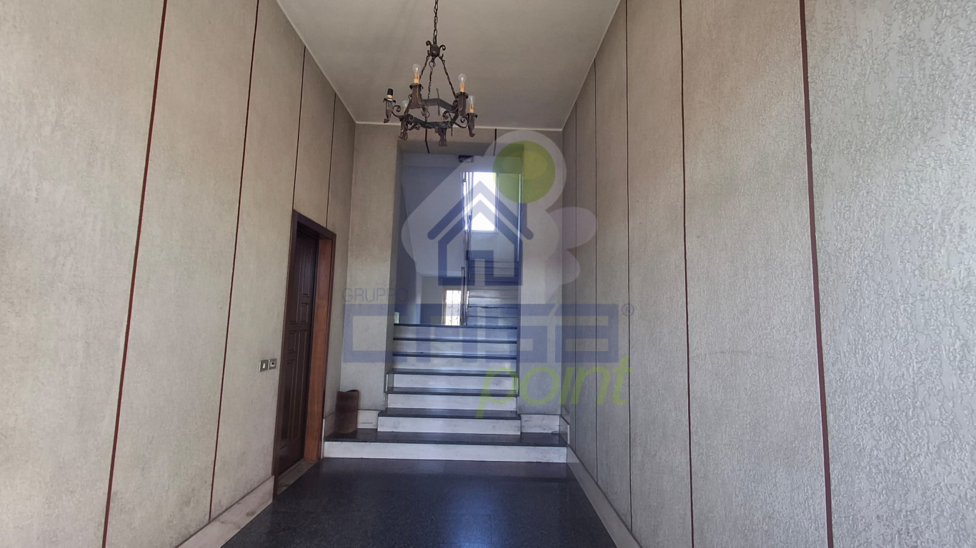 WhatsApp Image 2026-02-05 at 17.58.49 (2).jpeg