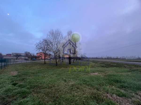 ORA TOCCA A TE COMPLETARE IL TUTTO