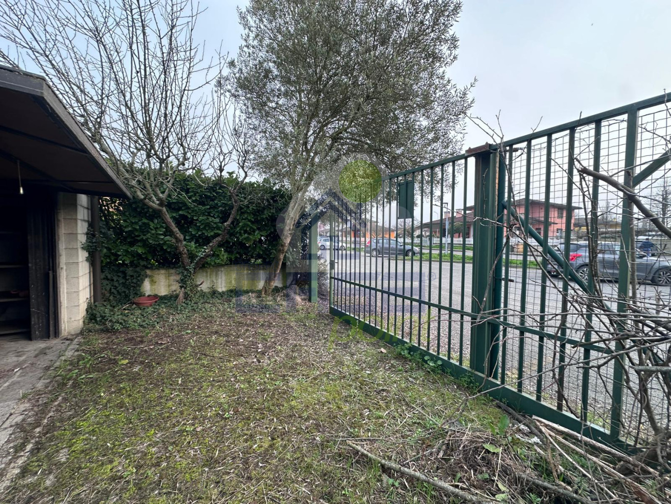 WhatsApp Image 2026-03-11 at 17.12.02 (2).jpeg