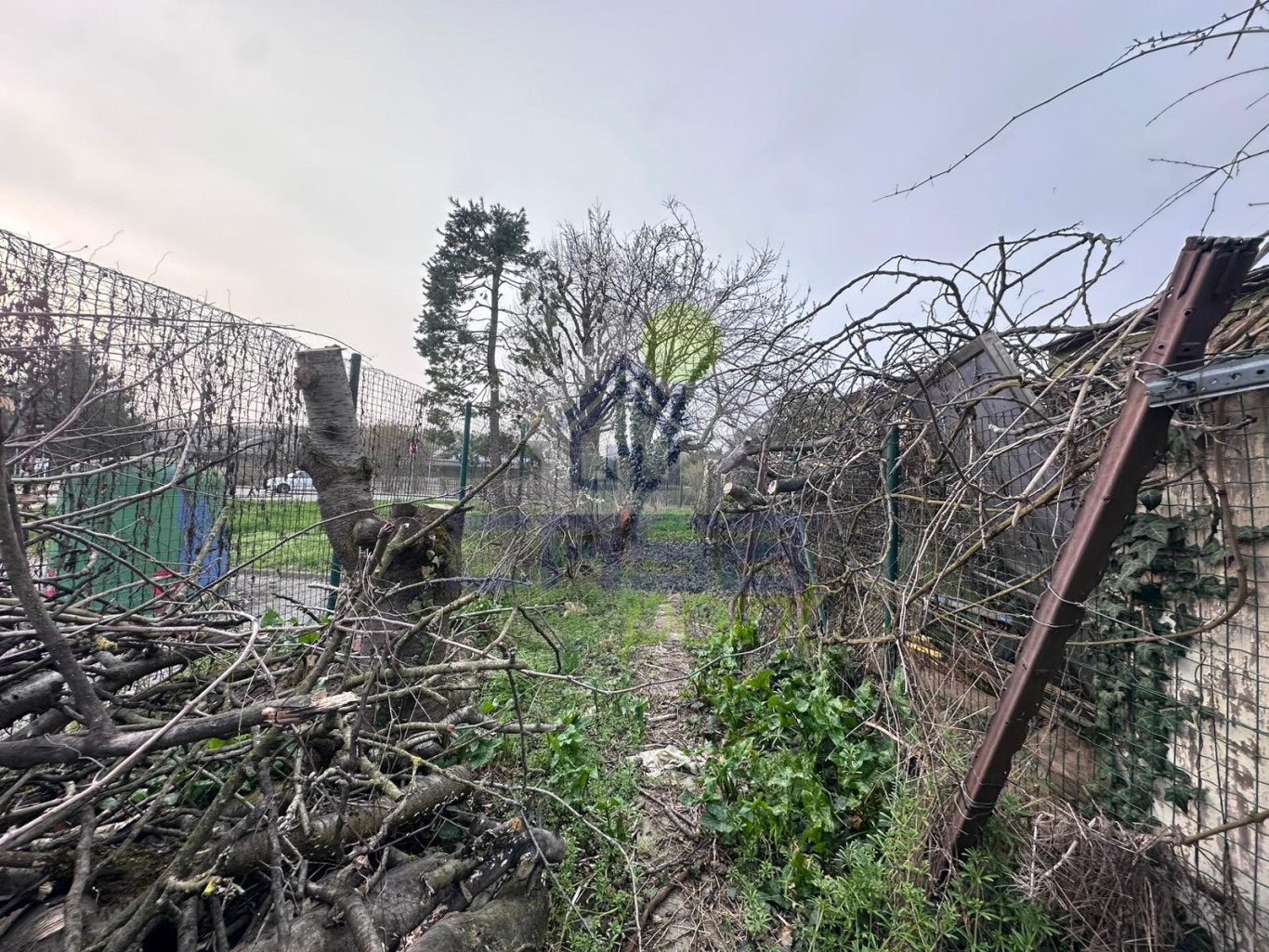 WhatsApp Image 2026-03-11 at 17.12.03.jpeg